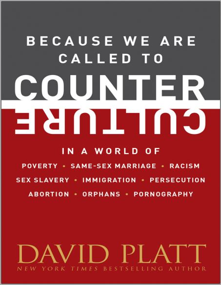 Cover of Because We Are Called to Counter Culture