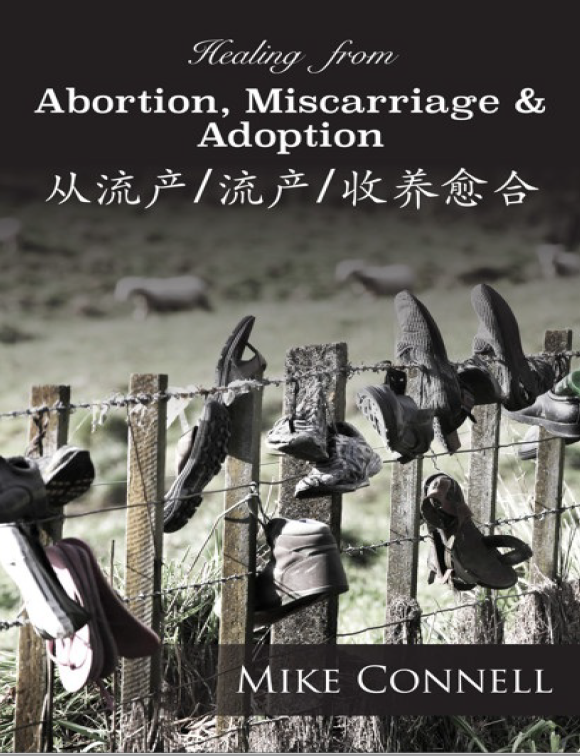 Cover of Healing From Abortion, Miscarriage and Adoption