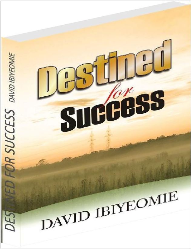 Cover of Destined For Success