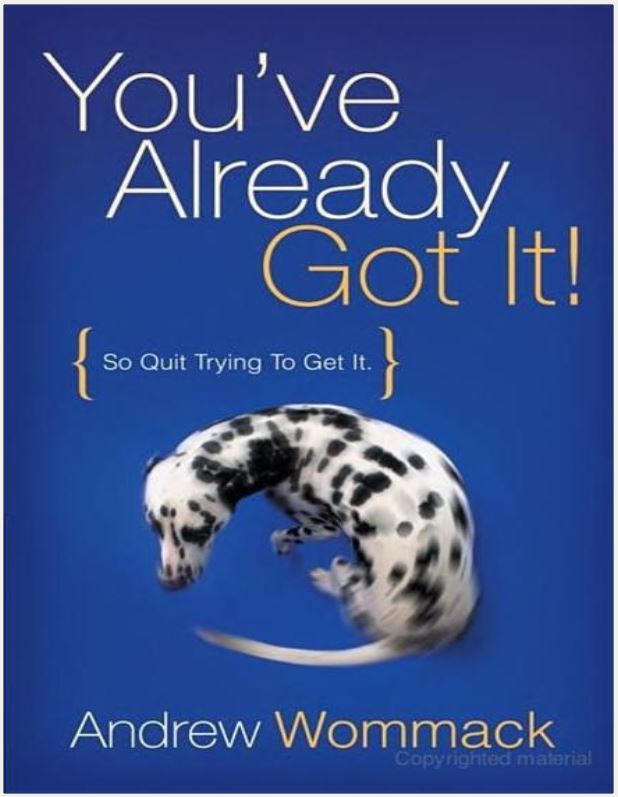 Cover of You've Already Got It